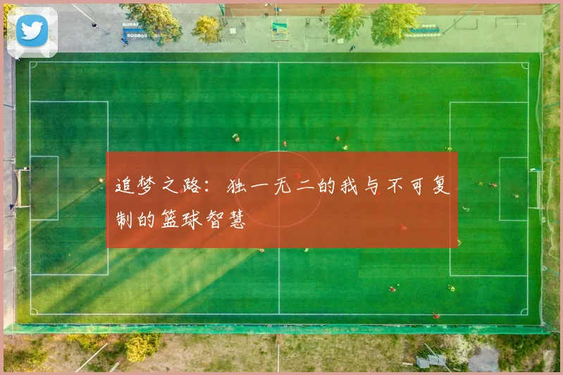 追梦之路：独一无二的我与不可复制的篮球智慧